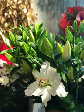 Fleuriste Fleurs Myna Le Havre 0