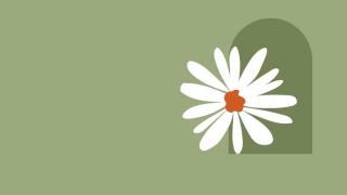 Fleuriste Les Créations d’Audrey 1