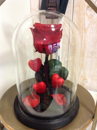 Fleuriste ROCK 'N ROSES, spécialiste de la rose 0