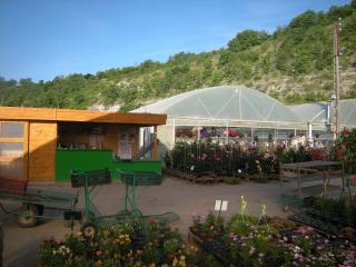 Fleuriste Hortisyl EARL, Horticulteur, Pépinière, Producteur de plantes 0