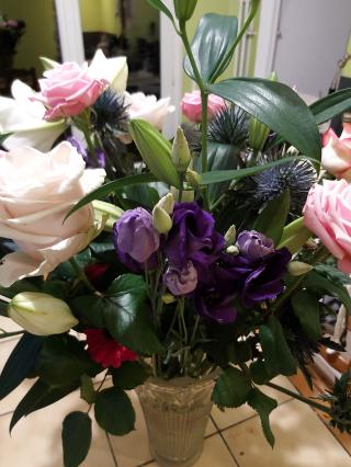 Fleuriste Filiflor 1