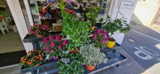 Fleuriste Emilie Fleurs 0