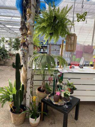 Fleuriste Touraine fleurs Cordon Dupin SARL 0