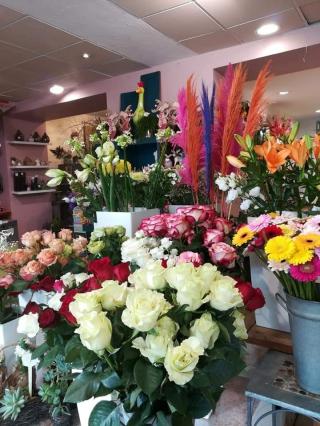 Fleuriste Fleuriste Martine Poulain 0