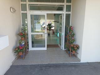 Fleuriste L'île ô fleurs 0