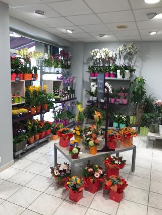 Fleuriste Cœur De Fleurs 0