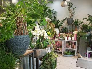 Fleuriste Art et fleurs Noëmie Neveu 0