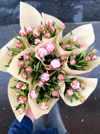 Fleuriste Les fleurs, c'est lui 0