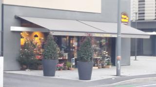 Fleuriste Fleurs du Vérone 0