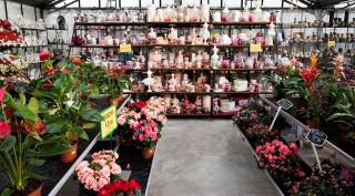 Fleuriste Au Jardin Enchanté 0