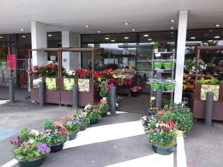 Fleuriste Fleurs du littoral 0