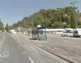 Fleuriste Pepiniere du Loubet 0