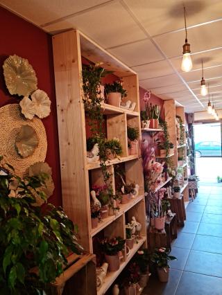 Fleuriste Rouge Coquelicot 1