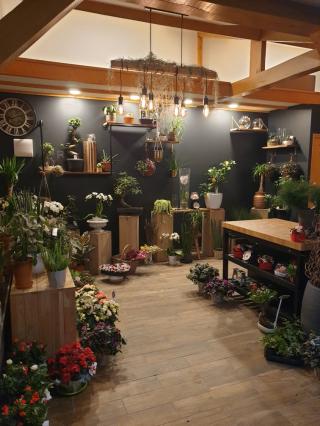 Fleuriste Garden 77 0