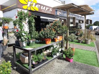 Fleuriste Fleurs De St Gilles 0