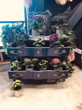 Fleuriste Anne Fréret Fleuriste 0