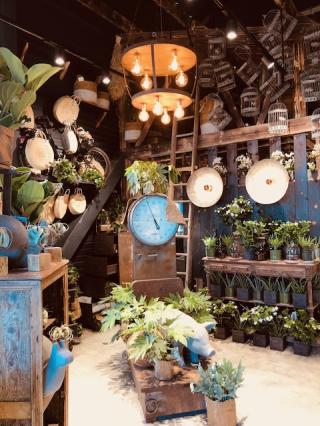 Fleuriste Anne Fréret Fleuriste 0