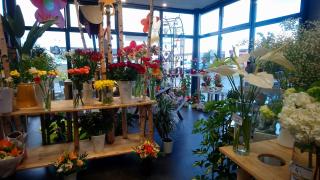 Fleuriste Un jour une fleur m'a dit... 0