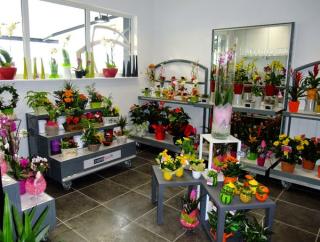 Fleuriste Carré Flore 0