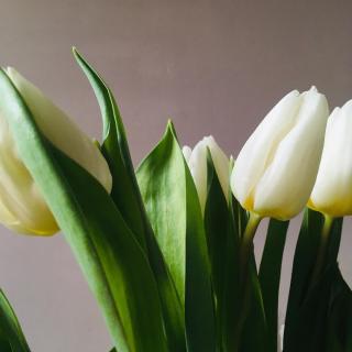 Fleuriste Flower Power 0