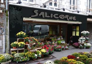 Fleuriste Salicorne 0