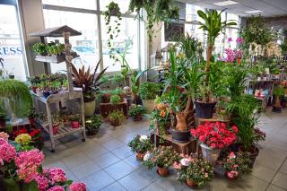 Fleuriste Marguerite fleuriste 1