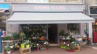 Fleuriste Adonis 0