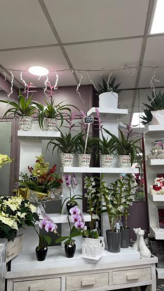 Fleuriste La Jardinerie 0