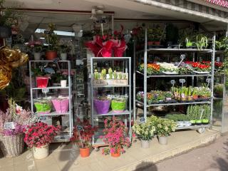 Fleuriste La Jardinerie 0