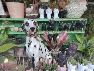 Fleuriste So'fleur 0