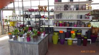 Fleuriste Les Serres de la Molinette 0