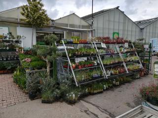 Fleuriste SERRES du BADERAND 0