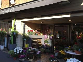 Fleuriste SARL Rodriguez Fleurs 2