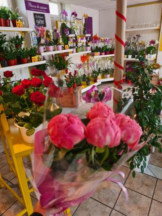 Fleuriste Rapid Flore 1