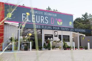 Fleuriste FLEURS D'Ô 0