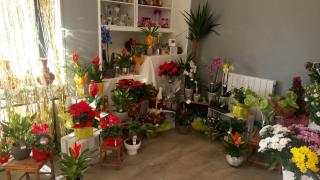 Fleuriste Les pensées d'Aurore 0