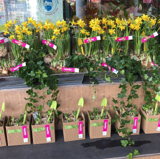 Fleuriste OPENFLOR Loos 2