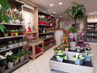 Fleuriste OPENFLOR Loos 0