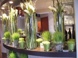 Fleuriste A Fleur de Pot 0