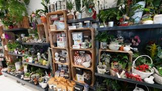 Fleuriste O'Floralys 0