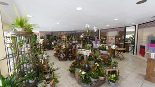 Fleuriste O'Floralys 0