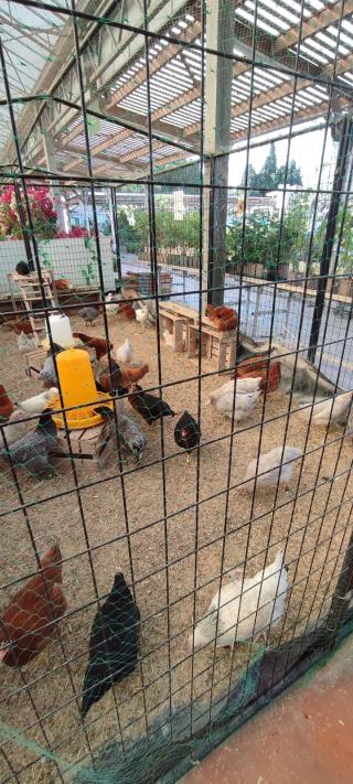 Fleuriste VillaVerde - Jardinerie du Moulin 0