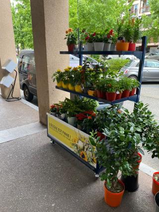 Fleuriste Monceau Fleurs 0