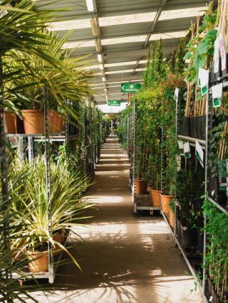 Fleuriste Végétal 0