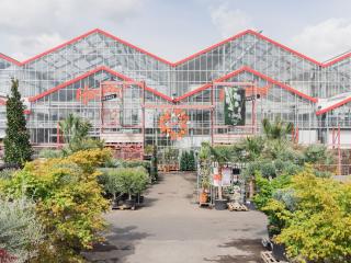 Fleuriste Végétal 0