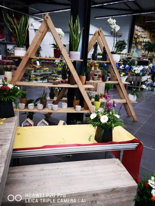 Fleuriste Le Temple De La Fleur Noeux 1