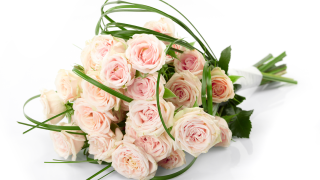 Fleuriste Nymphéa Fleurs 1