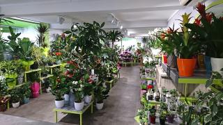 Fleuriste Boulevard des fleurs 1