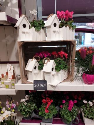 Fleuriste Coeur de Fleurs 0