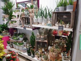 Fleuriste Coeur de Fleurs 0